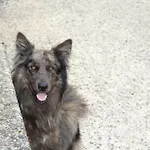 Cascina Legnago Bilocale A 6 Chilometri Da Salo' *