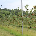 Cascina Legnago Bilocale A 6 Chilometri Da Salo'
