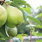 Cascina Legnago Bilocale A 6 Chilometri Da Salo' *